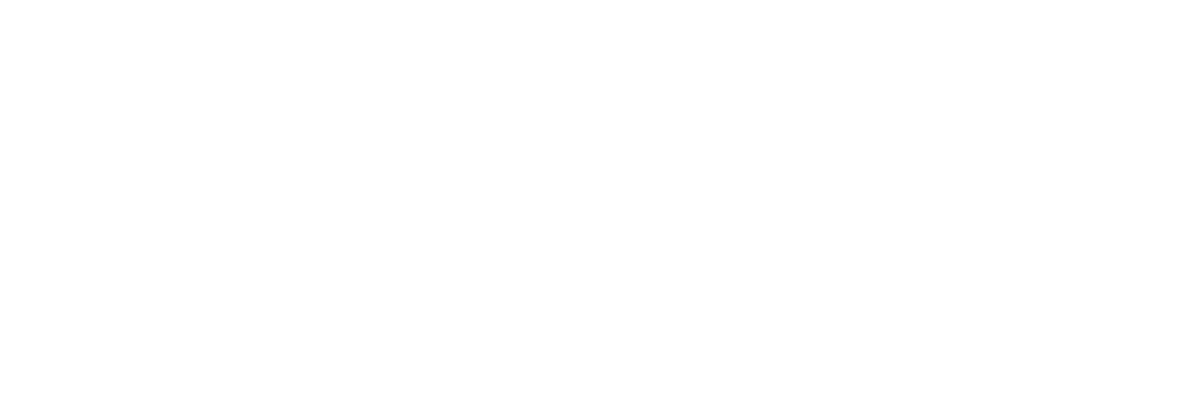 Logomarca Nexis